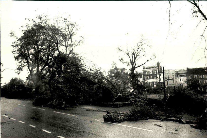 14301 
 Trees blown down on Victoria Gardens in Brighton after the hurricane 1987 
 Keywords: Argus photo archive. Brighton and Hove Stuff