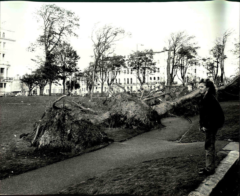 14286 
 Tree's blown down in Palmeria Gardens Hove, Brighton after the hurricane 1987 
 Keywords: Argus photo archive. Brighton and Hove Stuff