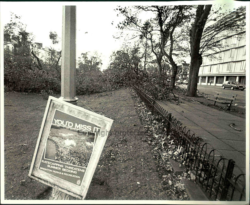 14288 
 Trees blown down in Victoria Gardens, Brighton after the hurricane 1987 
 Keywords: Argus photo archive. Brighton and Hove Stuff
