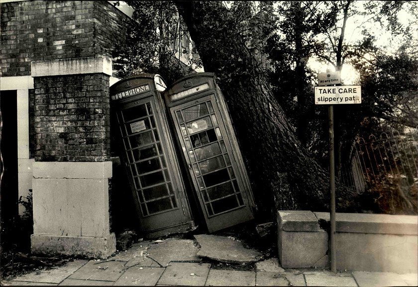 14296 
 Telephone boxes and a tree blown over in the hurricane, Brighton 1987 
 Keywords: Argus photo archive. Brighton and Hove Stuff